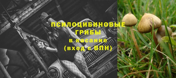 MESCALINE Абаза