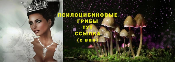 хмурый Абдулино