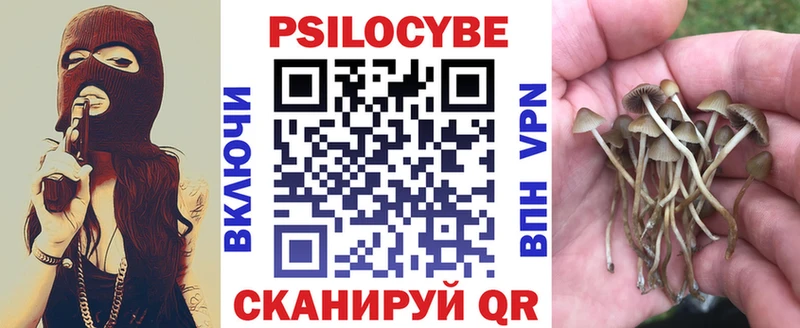 Псилоцибиновые грибы Psilocybine cubensis  Каменногорск 